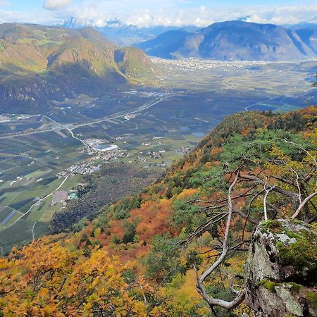 Tinnerhof Апп'яно-сулла-Страда-дель-Віно Екстер'єр фото