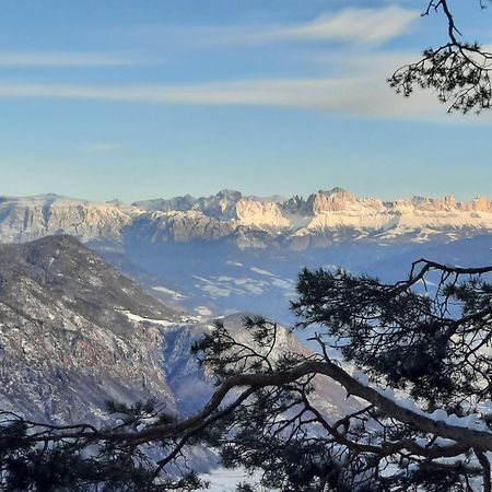 Tinnerhof Апп'яно-сулла-Страда-дель-Віно Екстер'єр фото