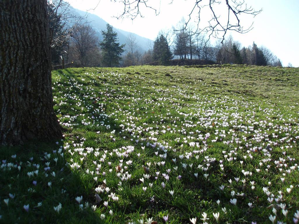 Tinnerhof Апп'яно-сулла-Страда-дель-Віно Екстер'єр фото