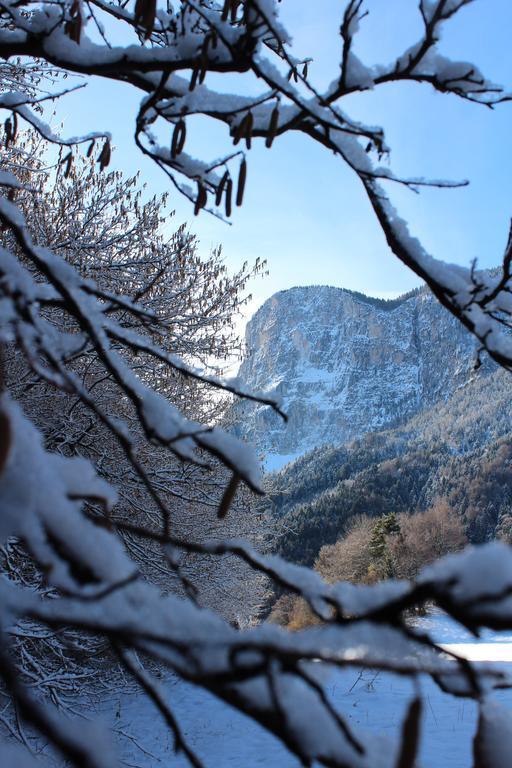 Tinnerhof Апп'яно-сулла-Страда-дель-Віно Екстер'єр фото