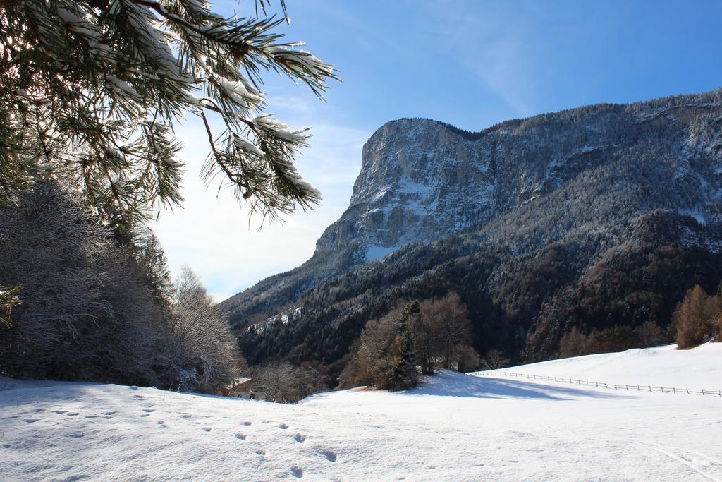 Tinnerhof Апп'яно-сулла-Страда-дель-Віно Екстер'єр фото