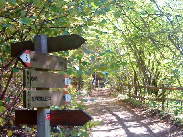 Tinnerhof Апп'яно-сулла-Страда-дель-Віно Екстер'єр фото